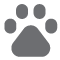 pet friendly